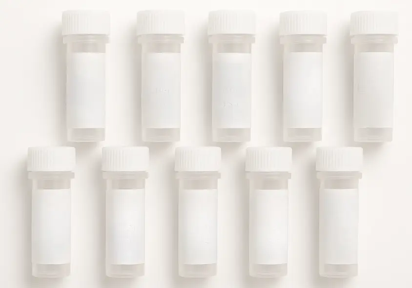 GPR143 293T Cell Transient Overexpression Lysate(Denatured)