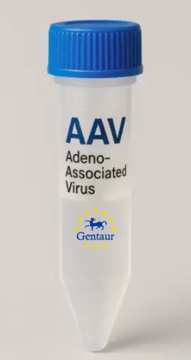 BTBD2 AAV Vector (Mouse) (CMV)